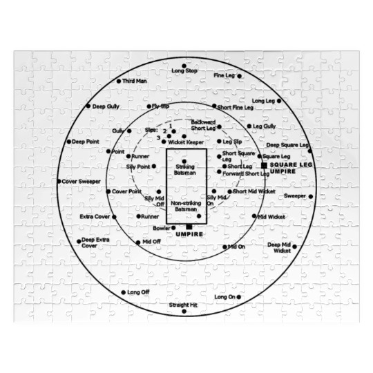 CRICKET PITCH POSITIONS Jigsaw Puzzles