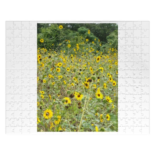 My Photography - Swamp Sunflowers in Texas Jigsaw Puzzles