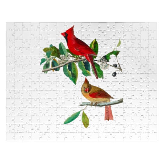Cardinal Grosbeak from Birds of America Jigsaw Puzzles