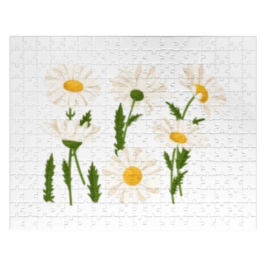 Marguerites Daisy Summer Daisies Flower Garden Jigsaw Puzzles