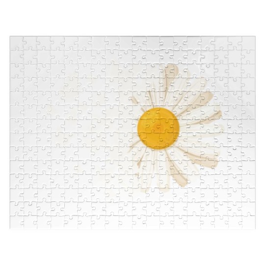 Marguerites Daisy Summer Daisies Flower Garden Jigsaw Puzzles