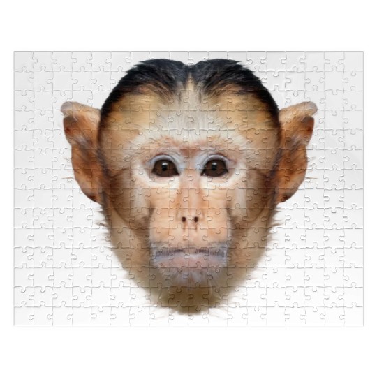 Capuchin Monkey Face Jigsaw Puzzles