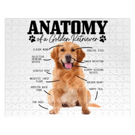 Anatomy Of A Golden Retriever Dog Mom Dad Jigsaw Puzzles