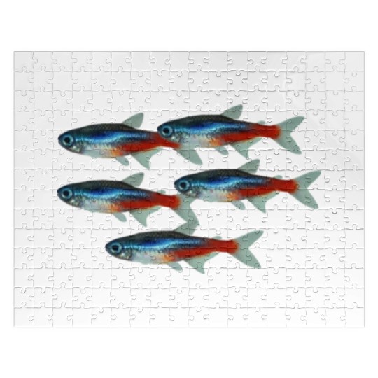Neon Tetra Fish Bright Color Freshwater Sea Life Jigsaw Puzzles