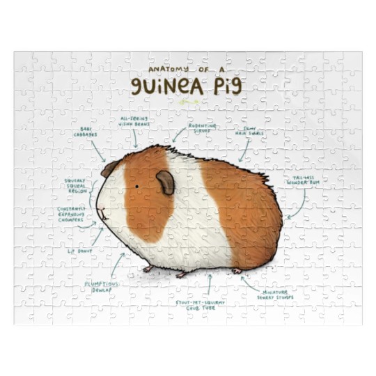 Anatomy of a Guinea Pig Jigsaw Puzzles