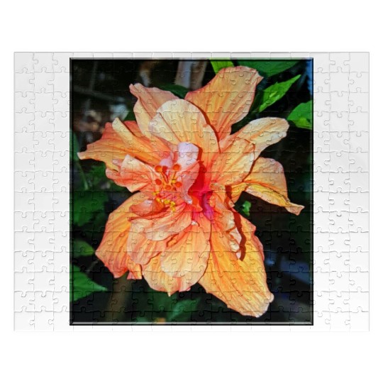 Hibiscus 1 Jigsaw Puzzles