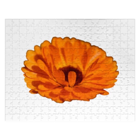 orange flower marigold Jigsaw Puzzles