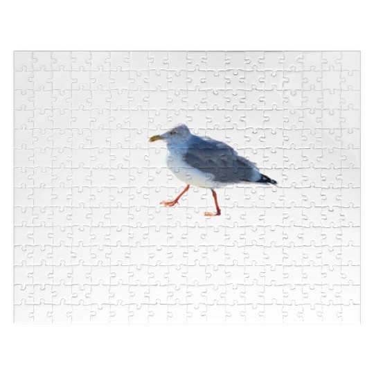 sun sea atlantic coast seagull holidays bird shit Jigsaw Puzzles