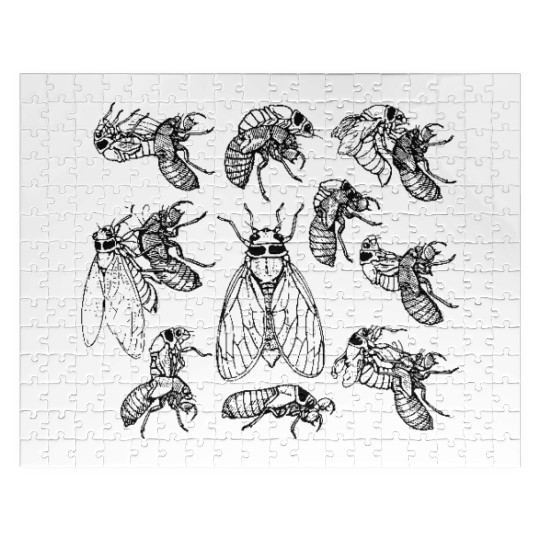 Cicadas Life Cycle Vintage Science Cicada Bug Jigsaw Puzzles