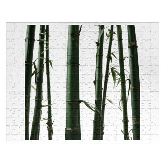 Tropical Bamboo Jigsaw Puzzles