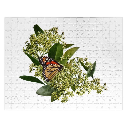 Monarch Butterfly on Euonymus Jigsaw Puzzles