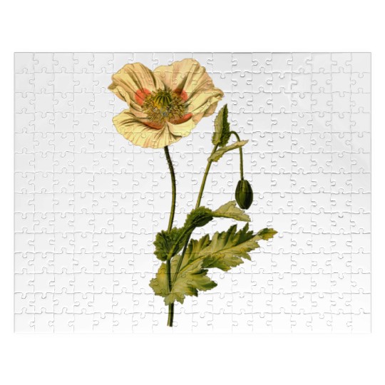 Opium poppy (detailed) Jigsaw Puzzles