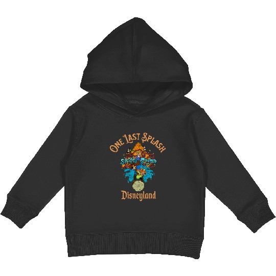 Disneyland Splash Mountain Kids Pullover Hoodies, Disney Splash Mountain Kids Pullover Hoodies