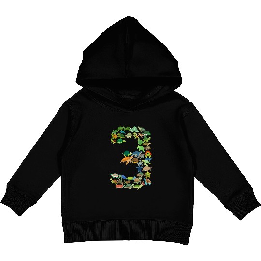 3rd Birthday Sea Turtle Tortoise Theme 3 Year Old Kids Pullover Hoodies