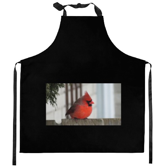 Brilliant Cardinal Bird 2 Kitchen Aprons