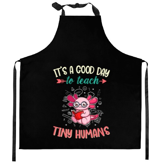 Good Day To Teach Tiny Humans Elementary Teacher Kitchen Aprons