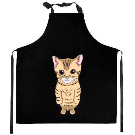 Cute Standing Cat Meme Cute Kitten Standing on Two Kitchen Aprons