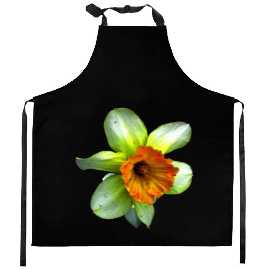 Blooming spring daffodil Kitchen Aprons