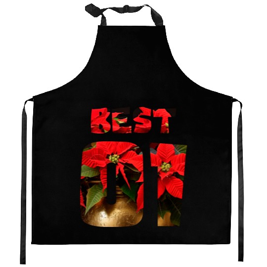 best friends for 3 - BEST Kitchen Aprons