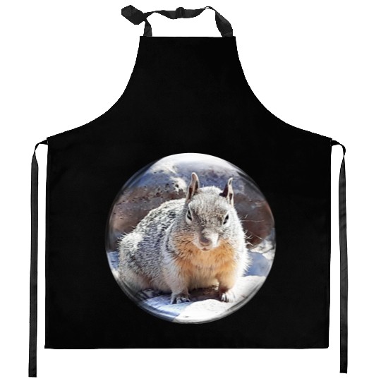 Life In a Bubble Collection- Grand Canyon Squirrel Kitchen Aprons