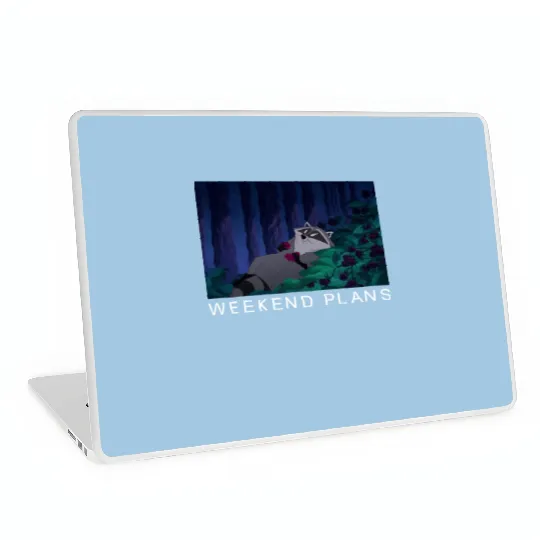Disney Pocahontas Meeko Raccoon Weekend Plans Laptop Skins