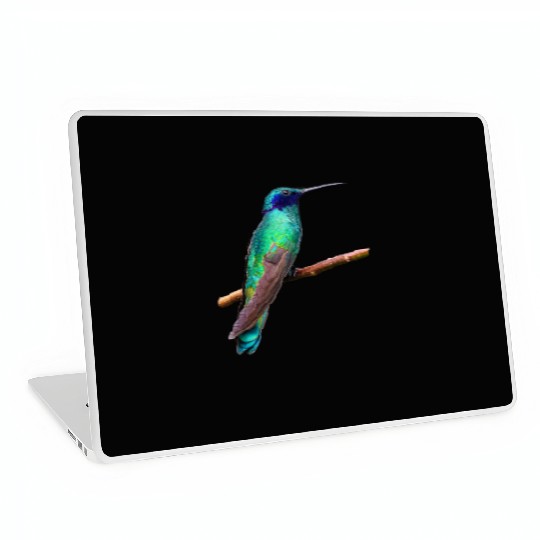 Hummingbird Laptop Skins