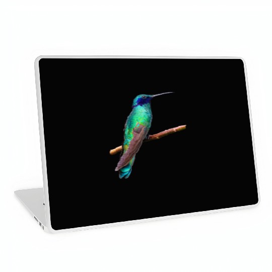 Hummingbird Laptop Skins