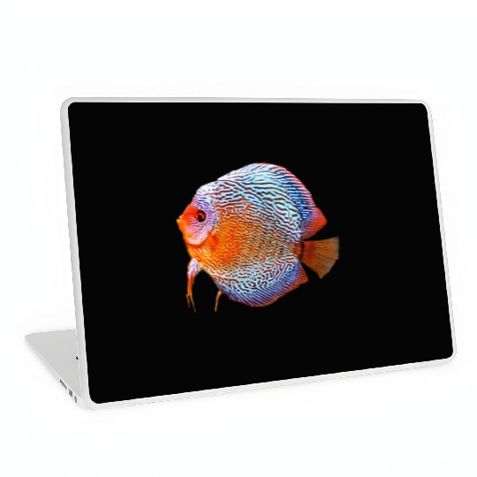 DISCUS FISH - Snakeskin, orange/blue Laptop Skins