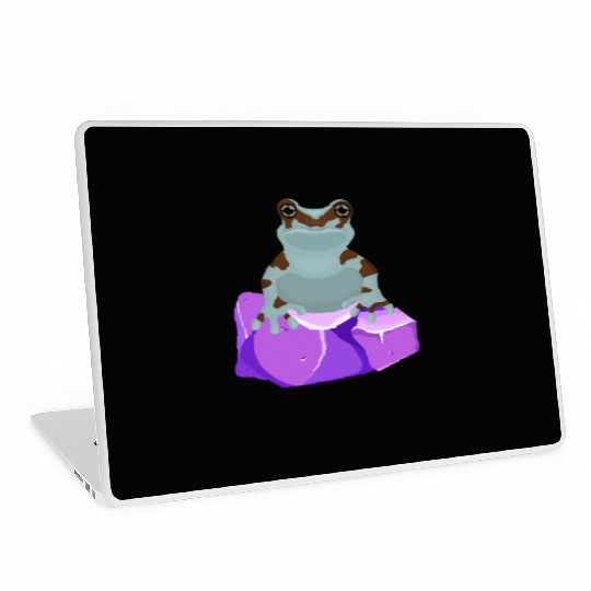 Frog Crystal Amethyst Gemstone For Toad Owners Laptop Skins