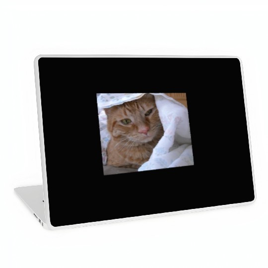 Cozy Orange Tabby Feline Under Blanket Laptop Skins