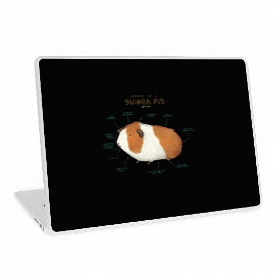 Anatomy of a Guinea Pig Laptop Skins