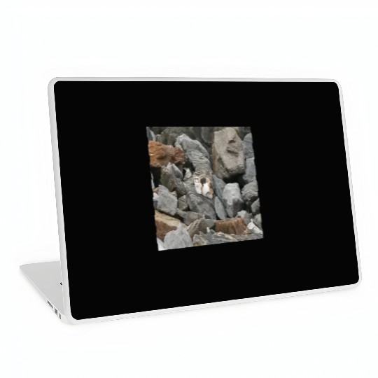 Camouflage Cat On Rocks Gifts for Animal Lovers Laptop Skins