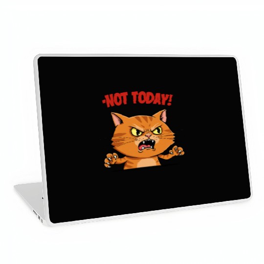 Not Today Angry Cat Laptop Skins | Funny Grumpy Cat Mem