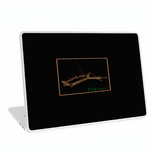 Real Stick Insect  Laptop Skins