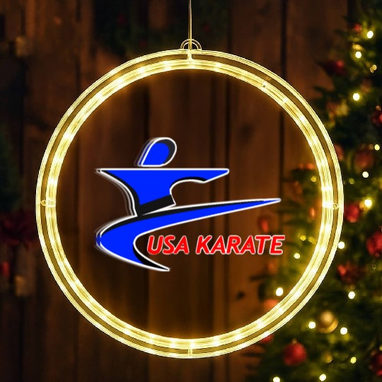 Team USA Karate LED Christmas Window Lights