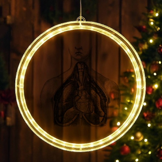 Torso medical illustration LED Christmas Window Lights