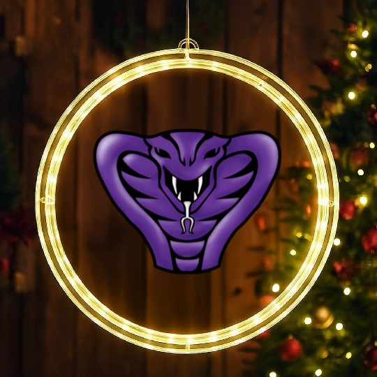 globo gym costume LED Christmas Window Lights