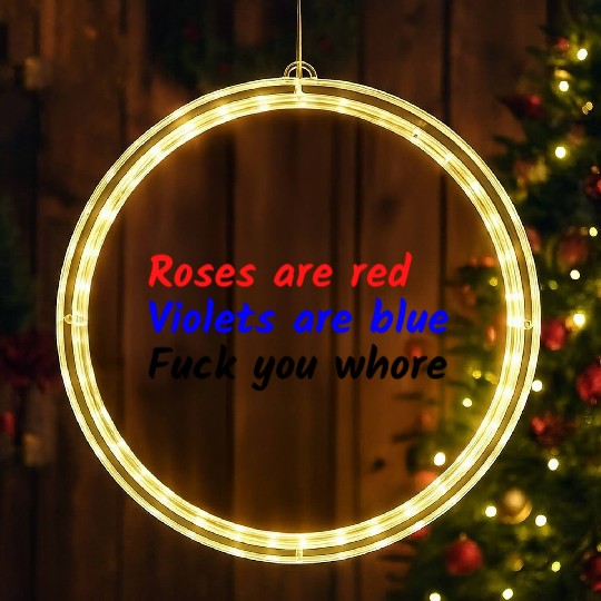 Roses are red Violets are blue Fuck you whore LED Christmas Window Lights
