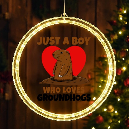 Just A Boy Who Loves Groundhog LED Christmas Window Lights