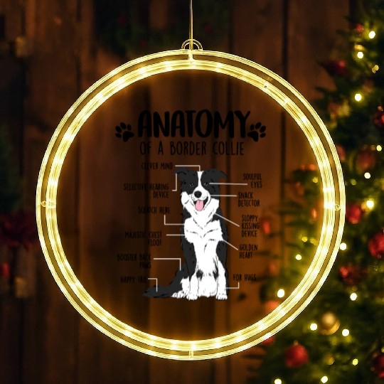 Funny Anatomy Border Collie Dog Lover LED Christmas Window Lights