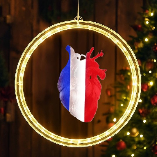 love france LED Christmas Window Lights