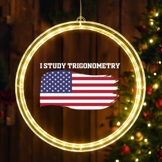I Study Triggernometry 2nd Aamendment US American LED Christmas Window Lights