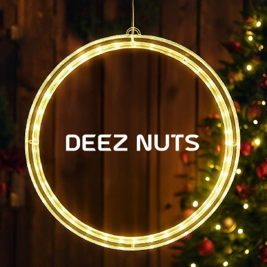 deez nuts LED Christmas Window Lights