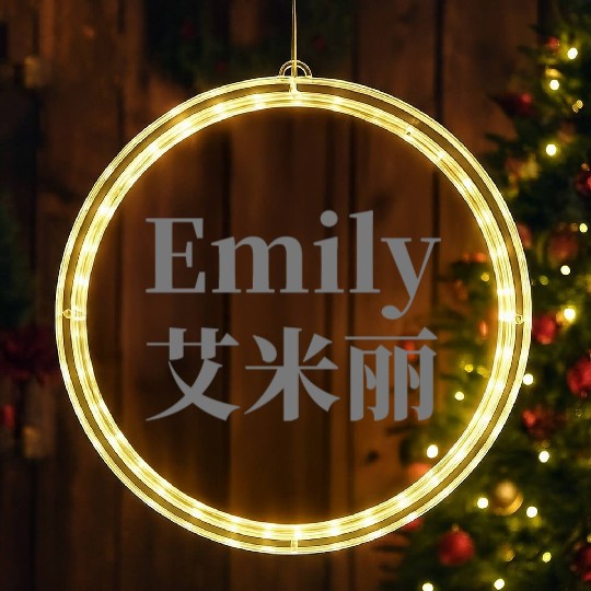 The Name Emily in Chinese Words LED Christmas Window Lights
