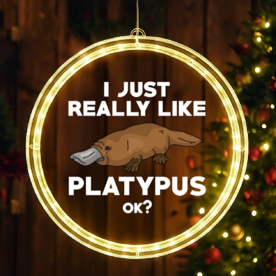 Funny Platypus Lover LED Christmas Window Lights