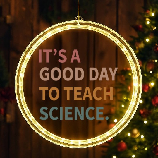 Its A Good Day To Teach Science Gift LED Christmas Window Lights