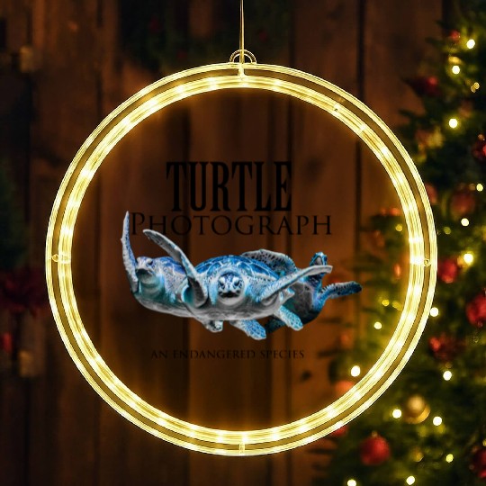 Turtle photograph LED Christmas Window Lights