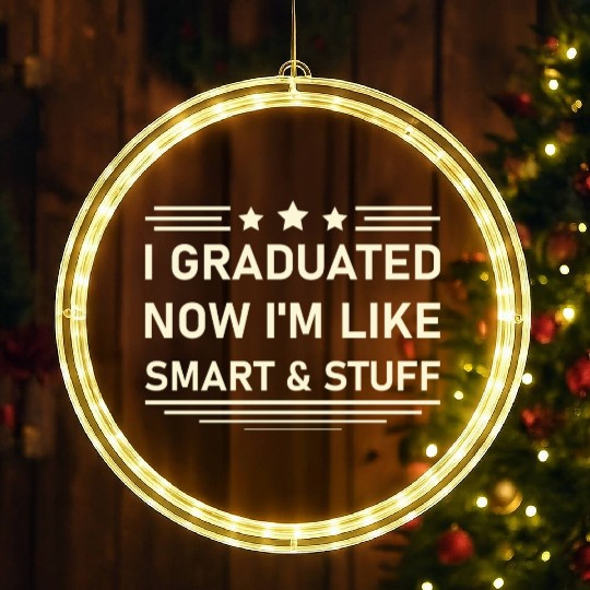 Funny College High School Graduation Gift Senior LED Christmas Window Lights