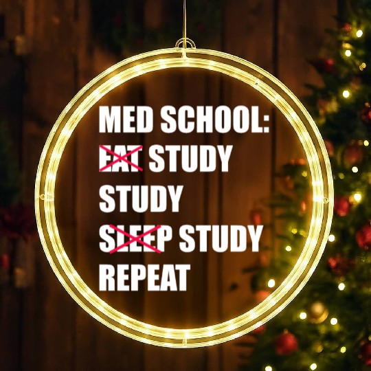 Med School Eat Study Sleep Repeat Medical Student LED Christmas Window Lights