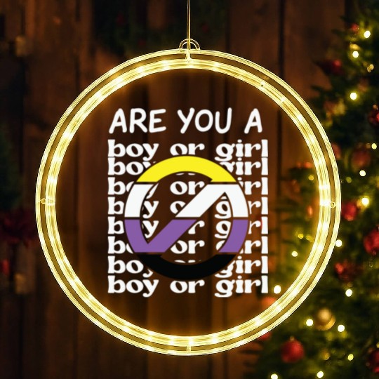 LBGT Flag Gay Pride Human Vintage Rainbow LED Christmas Window Lights